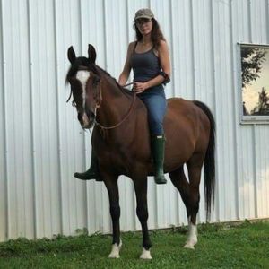 Welcome to the Tack Box!